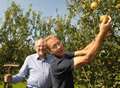 Our apples are better than the supermarkets'