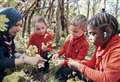 Here's where new Scout Squirrel groups will open in Kent and Medway 