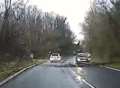 Video: Lucky escape for drivers after tree fall