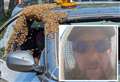 Autoglass worker stunned as bees swarm BMW and try to build hive