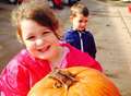 Farm shuts early after surge of pumpkin pickers