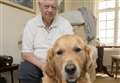 Owner's heartache at 'too fat' guide dog