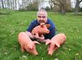 Priory's pigs could hog the limelight 
