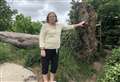Park grows wild as tree blocks entrance for two years