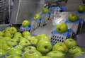 Fruit farm invests big in apple machine