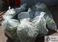 £100k of cannabis seized