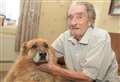 Re-homed German shepherd rescues elderly owner after fall 