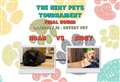 Vote in the final round of the Kent Pets Tournament