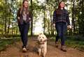 Six spots to walk with your four-legged friend