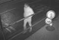 CCTV released after woman attacked from behind in street