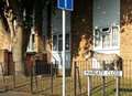 Horse is unwanted 'neighbour' at block of flats