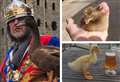 ‘I take my duck to the pub - dressed as medieval archer’