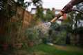 Hosepipe ban set for Kent and Sussex due to ‘record demand’ for water