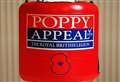 Teen charged with poppy collection box theft