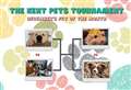 Who should go to the final of the last Kent Pets tournament? 