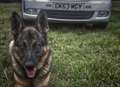 Police dog Olly collars his man