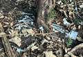 More than 60 used needles on footpath