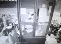 CCTV catches vandal smashing charity shop window