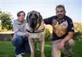 100kg Mastiff named UK's dog of the year