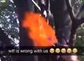 Children set squirrel on fire