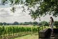 English Wine Week: Kent's top vineyards to visit