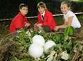 Mysterious eggs found at village primary school