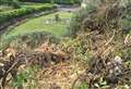 Hedge cutting row prompts council action plan