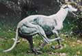 Bronze greyhound statue stolen from lawn