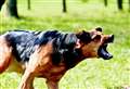 Kent town UK’s worst for dog attacks on postal workers