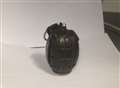 Alert after woman takes grenade into council office