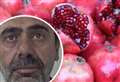 Pomegranate courier caught smuggling migrants