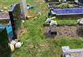 Woman charged with graveyard damage