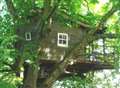 Arsonists target treehouse at country estate