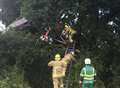 Microlight pilot, 91, crashes into tree