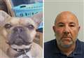 Dog photo and accidental selfies help uncover £45m drugs operation