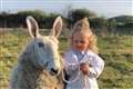 Three-year-old impresses thousands with sheep-handling skills