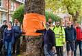 Protest as 132-year-old tree removed