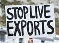 Steps forward to protect live animals being exported