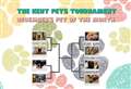 Vote in the final Kent Pets Tournament 