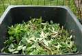 Arrange for your fortnightly garden waste collections