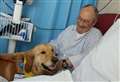 Hospital gets therapy dog 