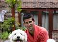 Tennis ace Djokovic helps re-home dog