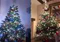 Kent's best Christmas trees