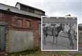 Final effort to stop housing giant's demolition of 'war horse' stable block 