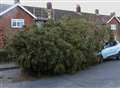 Trail of damage left in the wake of Storm Katie