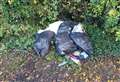Tip booking system blamed for spike in fly-tipping