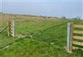 Pigs and sheep at risk as £10k worth of gates stolen from nature reserve