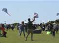 High-fliers flock to beach for festival 
