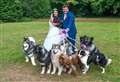 A happy couple, 12 dogs, three horses and an I do