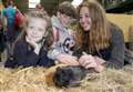 Family favourite Rare Breeds Centre announces reopening date 